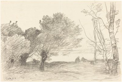 Weiden und weiße Pappeln von Jean Baptiste Camille Corot