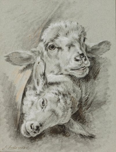 Studie von zwei Schafen, 1768 von Jean Baptiste Huet