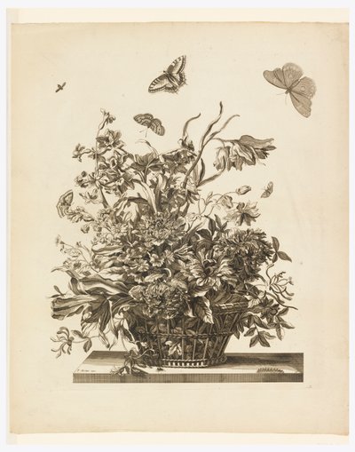 Tafel 10, aus dem Set Blumen in einem Korb von Jean Baptiste Monnoyer
