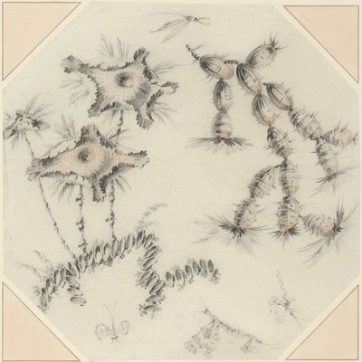 Bambusblüten und Kaktus von Jean Baptiste Pillement