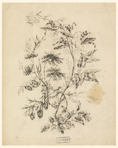 Zeichnung, Ast eines fantastischen Baumes, 1775–1800 von Jean Baptiste Pillement
