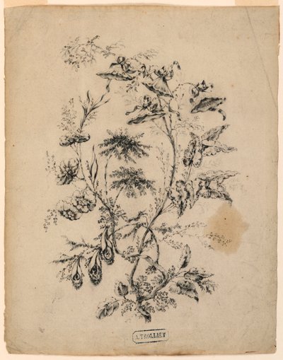 Zeichnung, Ast eines fantastischen Baumes, 1775–1800 von Jean Baptiste Pillement