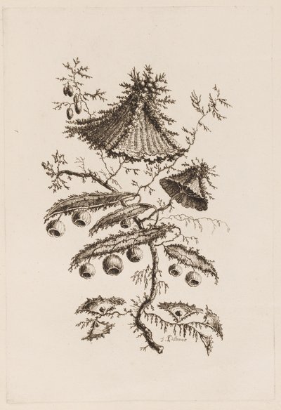 Blütenzweig, aus "Fleures Persannes" von Jean Baptiste Pillement