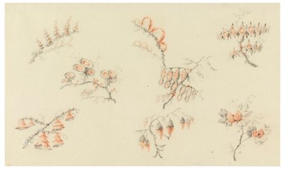 Sträuße von sieben idealen Blumen und einer quasi naturalistischen Blume von Jean Baptiste Pillement