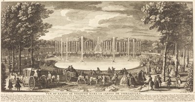 Blick auf das Neptunbecken im Garten von Versailles von Jean Baptiste Rigaud