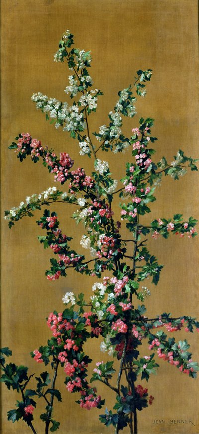 Japanischer Kirschbaum und Weißdornzweige von Jean Benner