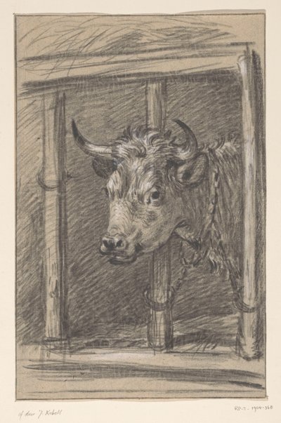 Kopf einer Kuh, durch die Gitter eines Stalls von Jean Bernard