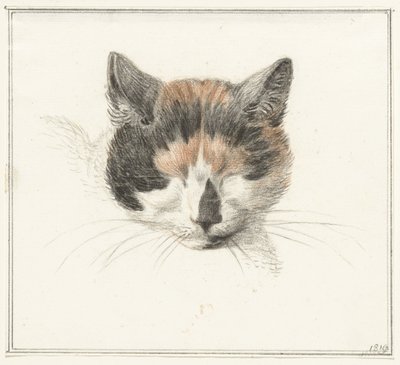 Kopf einer gefleckten Katze, von vorne, mit geschlossenen Augen von Jean Bernard