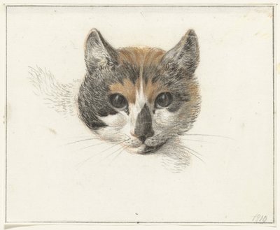 Kopf einer Schildpattkatze, von vorne, mit offenen Augen von Jean Bernard