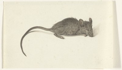 Maus, nach rechts von Jean Bernard