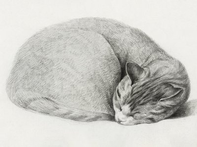 Zusammengerollte schlafende Katze von Jean Bernard