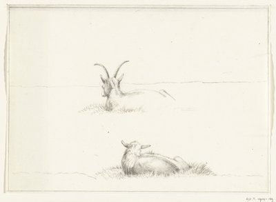 Skizzen von einer liegenden Ziege und einem Schaf, von hinten von Jean Bernard