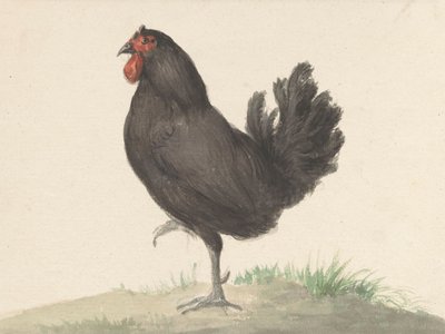 Stehendes schwarzes Huhn (1775–1833) von Jean Bernard