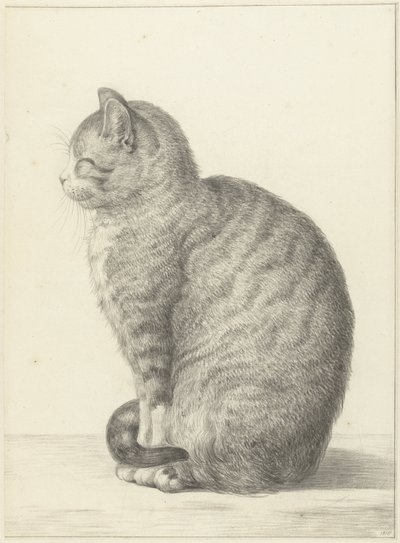 Sitzende Katze, nach links von Jean Bernard
