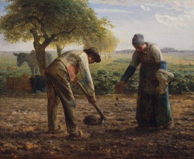 Kartoffelpflanzer von Jean-Francois Millet