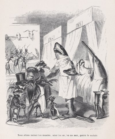 Wir werden die Muskeln einschneiden, die Knochen sägen, mit einem Wort, die Kranken heilen, ca. 1837-47 von Jean Ignace Isidore Gérard