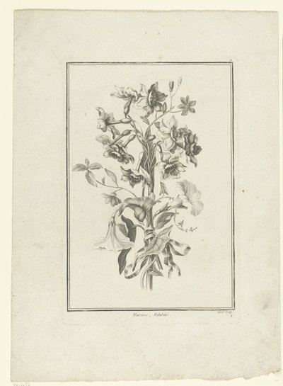 Blumenstrauß aus Narzissen und Winde (IIe Cahier de Bouquets) von Jean Jacques Avril (I)