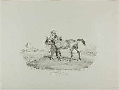 Ein arabisches Pferd, Tafel 8 aus Verschiedene Motive aus dem Leben und auf Stein gezeichnet (Die englische Suite) von Jean Louis André Théodore Géricault