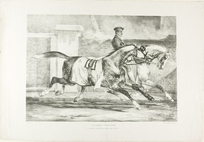 Pferde beim Üben, Tafel 6 aus Verschiedene Motive nach dem Leben auf Stein gezeichnet von Jean Louis André Théodore Géricault