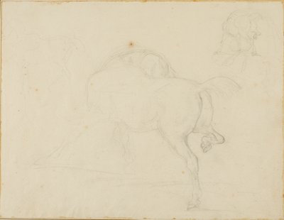 Studie eines Pferdes, das seinen Kopf dreht und sein Hinterbein hebt von Jean Louis André Théodore Géricault