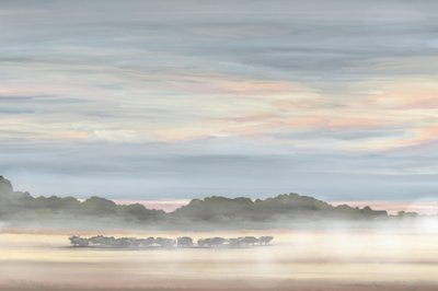 Nebliger Morgenlandschaft von Jenna Alheit