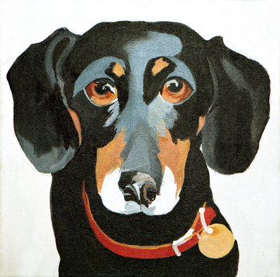 Buster, 2012 von Jennifer Abbott