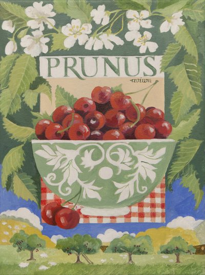 Prunus avium von Jennifer Abbott