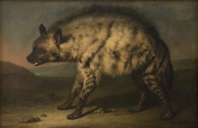 Die Hyäne im Menagerie am Schloss Frederiksberg von Jens Juel