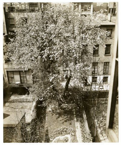 Mrs. W H Wells, 265 W 11th von Jessie Tarbox Beals
