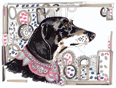 Lacey der Dackel, 2013 von Jo Chambers
