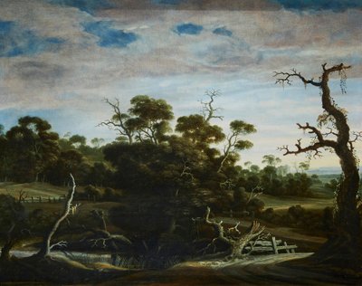Hügelige Landschaft mit Bäumen von Joachim Govertsz Camphuysen