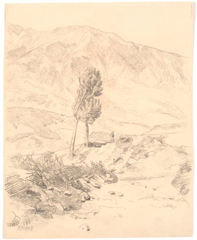 Italienische Berglandschaft mit zwei Bäumen von Joakim Frederik Skovgaard