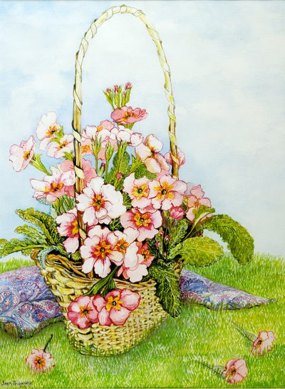 Rosa Primeln in einem Floristenkorb mit einem Paisley-Schal von Joan Thewsey