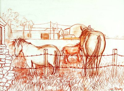 Serenade, Janie und ein Esel auf der Wiese von Joan Thewsey