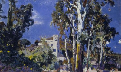 El Mas Blau, Les Borges del Camp von Joaquim Mir i Trinxet