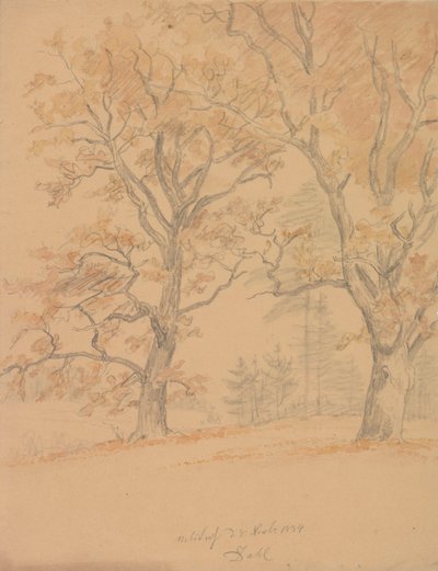 Zwei Eichen mit Herbstlaub von Johan Christian Dahl
