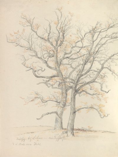 Zwei Eichen von Johan Christian Dahl