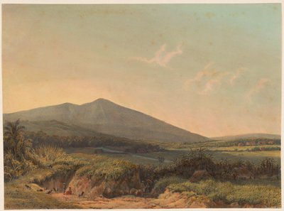 Ansicht von Kedungbadak von Johan Conrad Greive