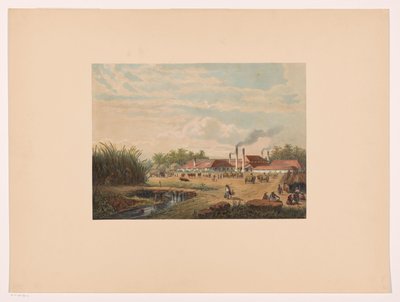 Pangka-Fabrik bei Tegal in Zentral-Java von Johan Conrad Greive