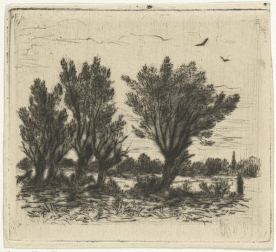 Weidenreihe von Johan Frederik Croockewit