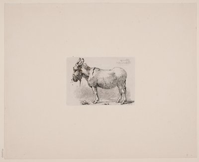 Ein Esel, geplagt von Fliegen von Johan Lundbye