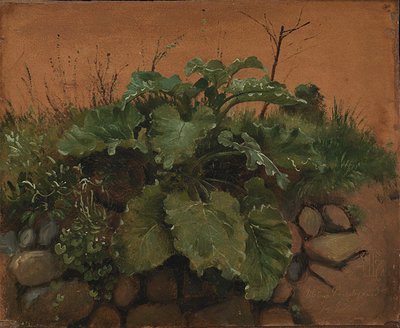 Eine Klette und andere Pflanzen an einer Steinmauer von Johan Thomas Lundbye