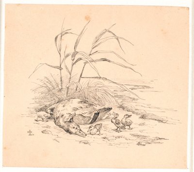 Die getötete Wildente. Illustration zu Kaalunds "Fabler for Børn". von Johan Thomas Lundbye