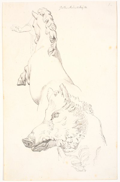 Studie nach antiken Skulpturen: Wildschweinkopf, Oberkörper eines steigenden Pferdes, von hinten gesehen und ein Arm mit Draperie von Johan Thomas Lundbye