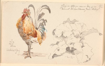 Studienblatt mit einem Hahn und einer Ampferpflanze von Johan Thomas Lundbye