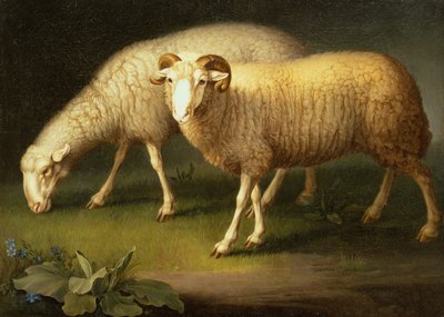 Ein Widder und Schafe von Johan Wenzel Peter