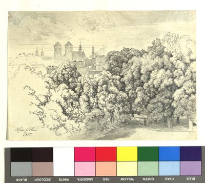  von Johann Adam Klein