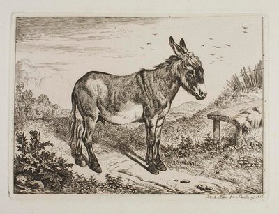  von Johann Adam Klein