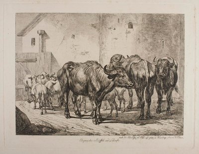 Ungarische Büffel und Schafe von Johann Adam Klein