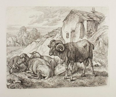 Widder und Schafe hinter einem Haus von Johann Adam Klein